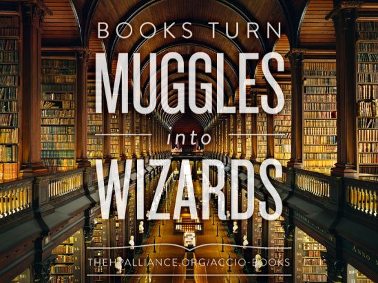 Books-Muggles-Wizzards.jpg